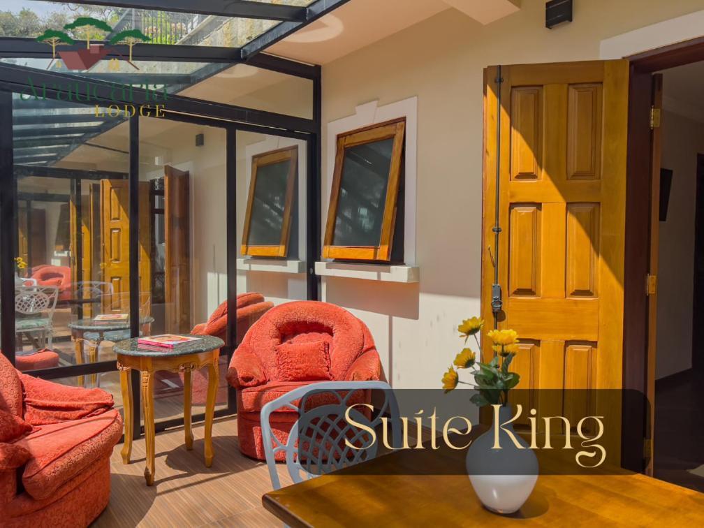 Araucaria Lodge Кампус-ду-Жордау Экстерьер фото
