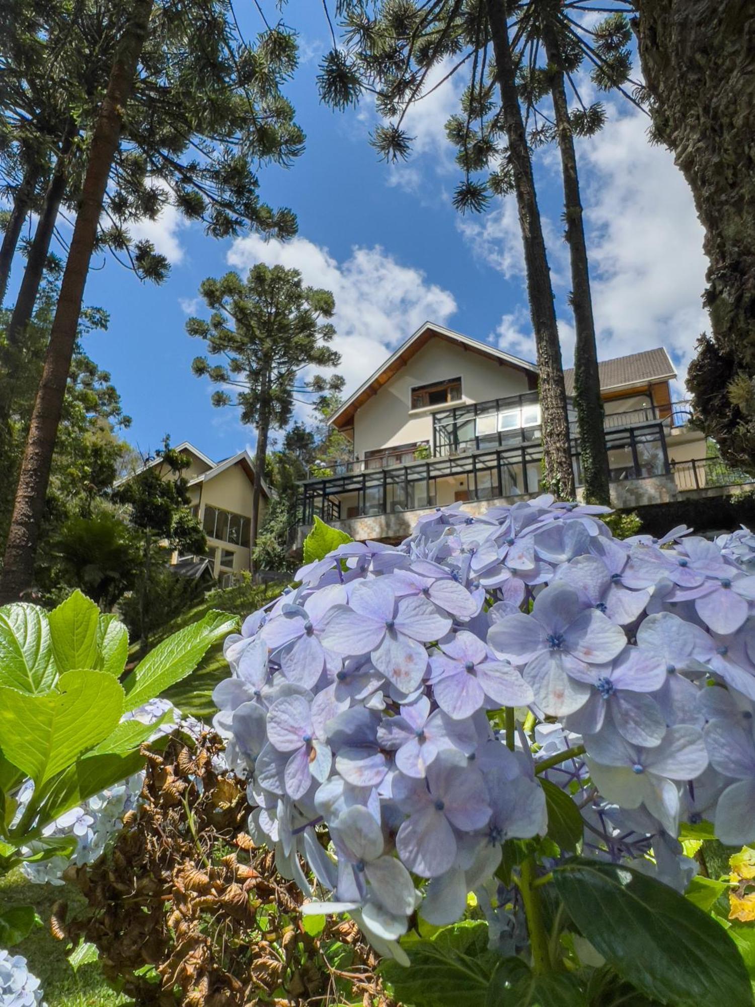 Araucaria Lodge Кампус-ду-Жордау Экстерьер фото