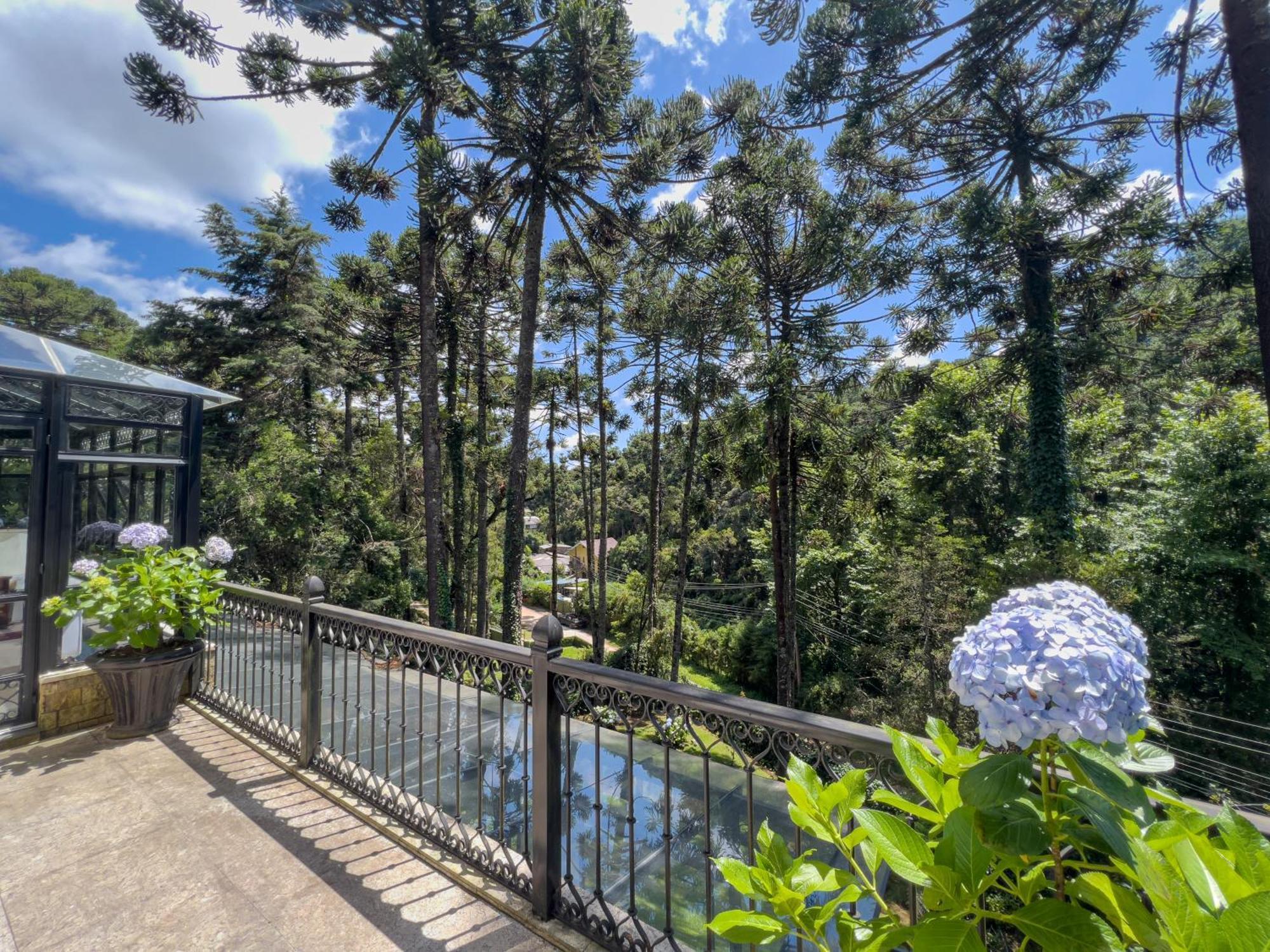 Araucaria Lodge Кампус-ду-Жордау Экстерьер фото