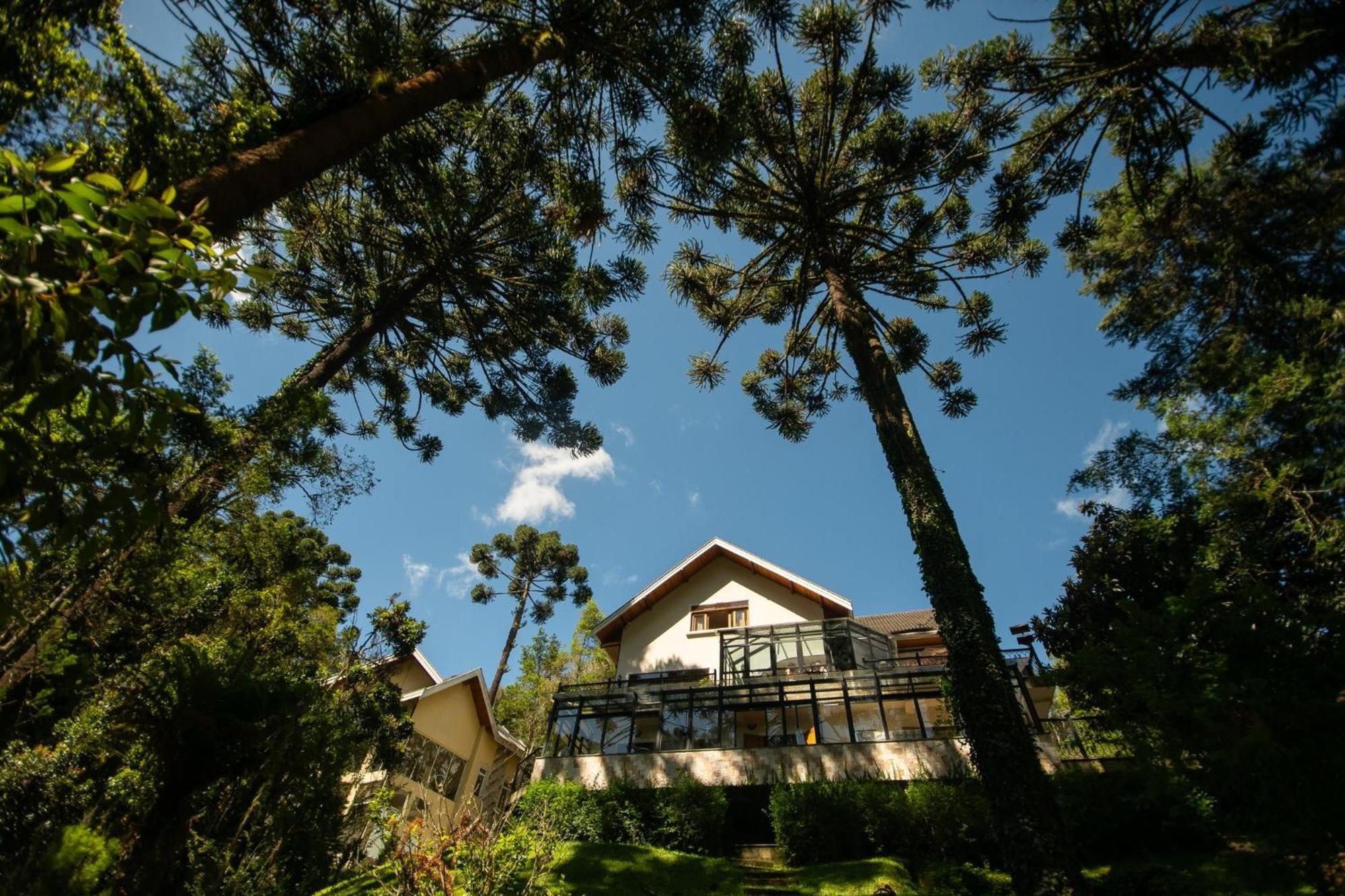 Araucaria Lodge Кампус-ду-Жордау Экстерьер фото